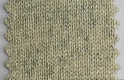 產(chǎn)品名稱：CATKIN NS-6129； 所屬分類：2股28支55％絲87％羊絨-粗紡（THEMIS）