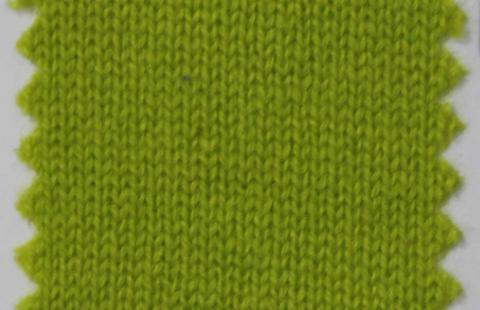 產(chǎn)品名稱：WASABI 25241； 所屬分類：2股26支143％羊絨粗紡(AURORA)