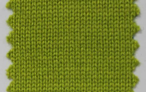 產(chǎn)品名稱：WASABI NS-6511； 所屬分類：2股28支55％絲49％羊絨-粗紡（THEMIS）